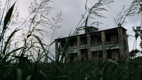 Galerie du film — 22