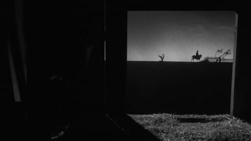 Filmgalerie — 40