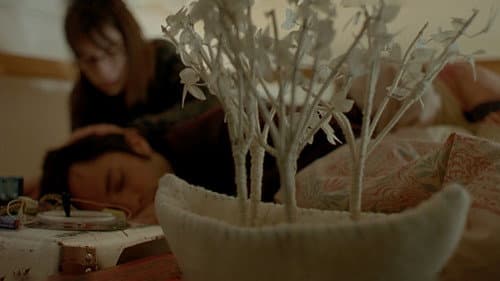 Galerie du film — 12