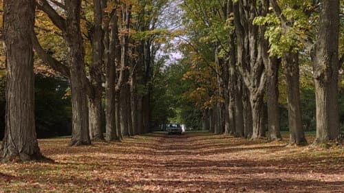 Galerie du film — 12