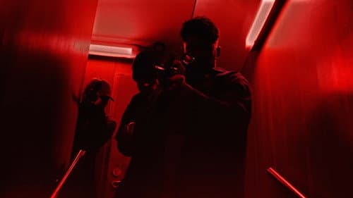 Galerie du film — 15