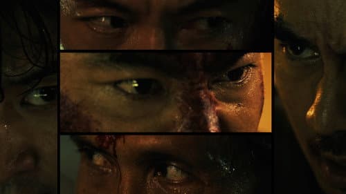 Galerie du film — 27