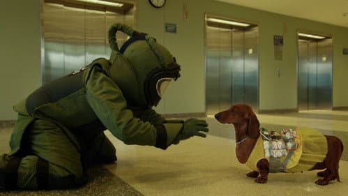 Galerie du film — 15