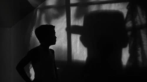 Filmgalerie — 14