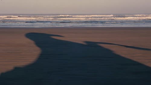 Galerie du film — 32